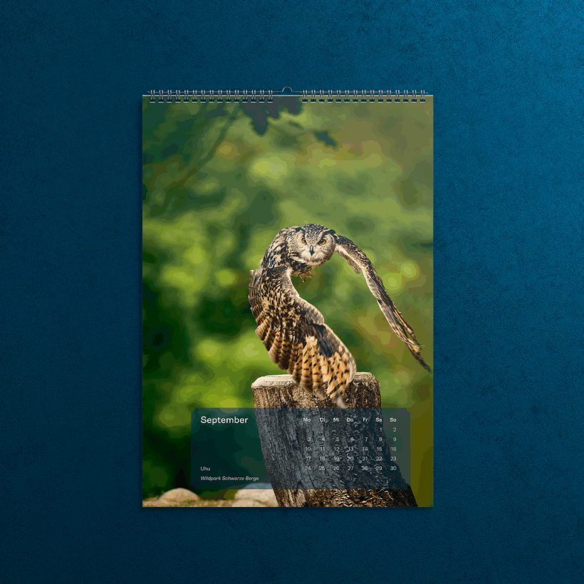 2026-calendar-view