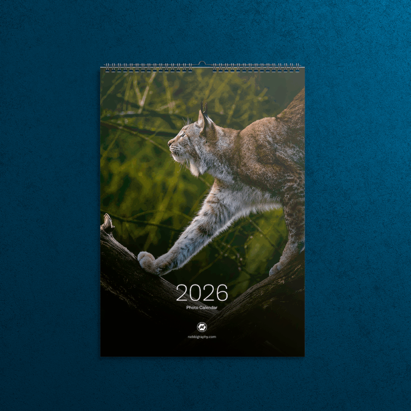 2026-cover-view